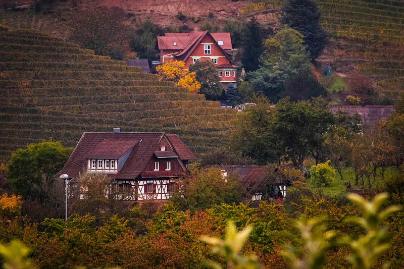 Beispielbild: Haus zwischen herbstlichen Weinhängen